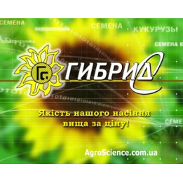 Каменяр
