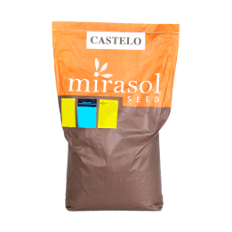 Castelo / Кастело