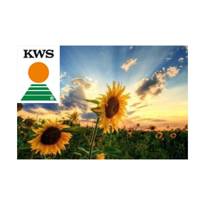KWS KRIPTON / КВС КРИПТОН