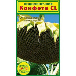Confeta F1 / Конфета F1