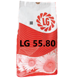 LG5580 / ЛГ5580