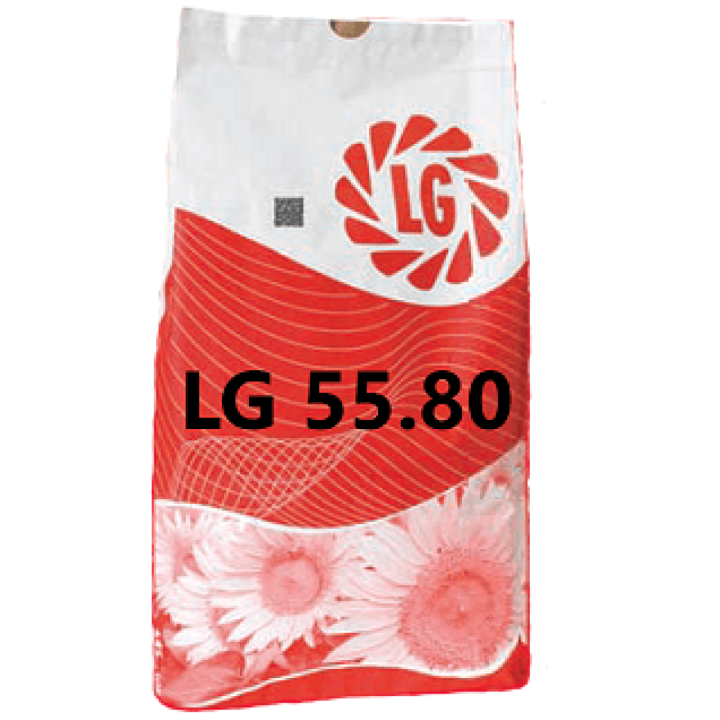 LG5580 / ЛГ5580