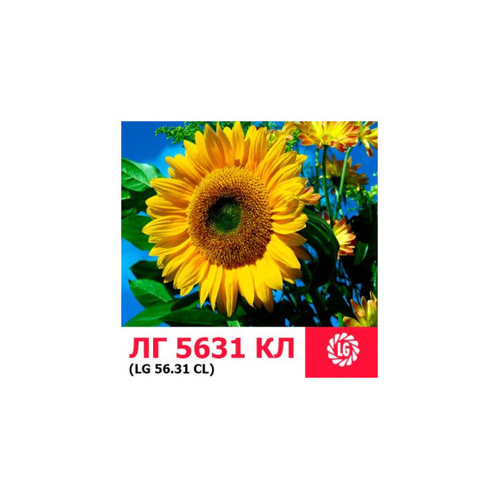 LG5631 CL / ЛГ5631 КЛ