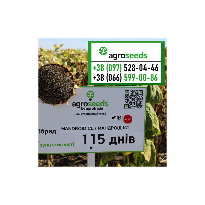MANDROID CL / МАНДРОІД СЛ