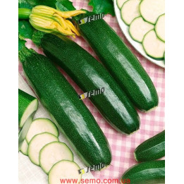 СТАРТГРИН F1 / STARTGREEN F1