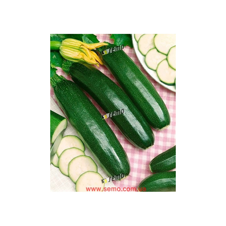 СТАРТГРИН F1 / STARTGREEN F1