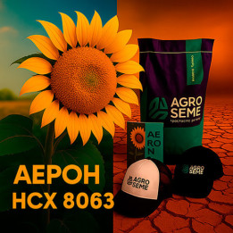 NS H 8063 / НС Х 8063