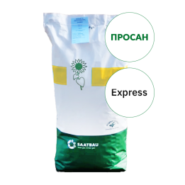 Prosun / Просан