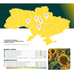Регіон