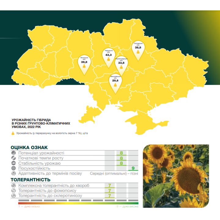 Регіон