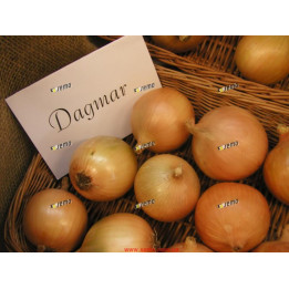 ДАГМАР / DAGMAR