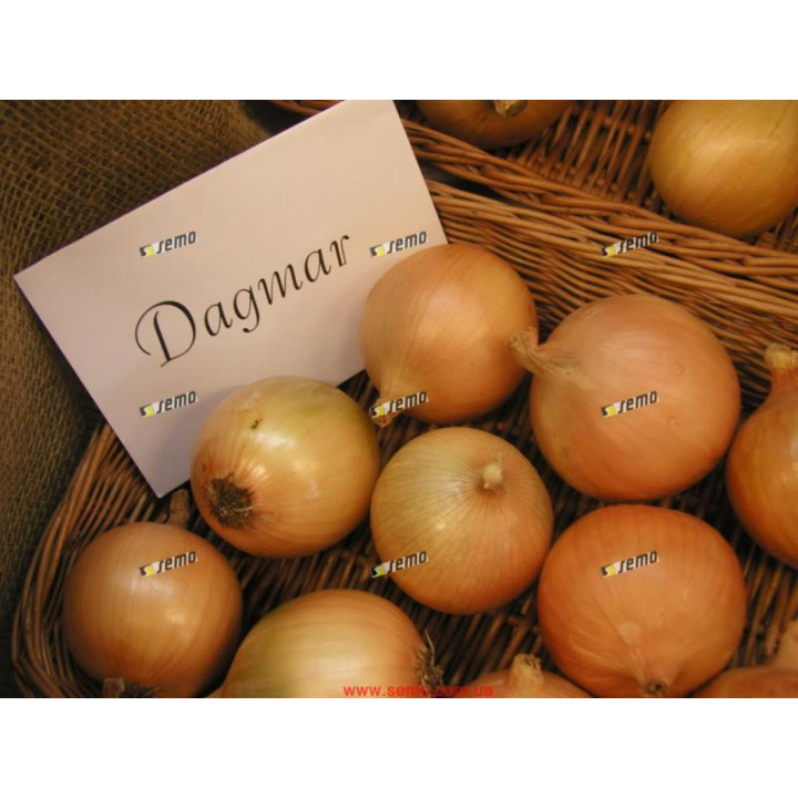ДАГМАР / DAGMAR