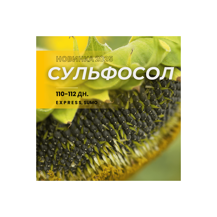 Sulfosol / Сульфосол