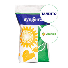 Talento / Таленто