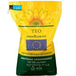 Teo / Тео