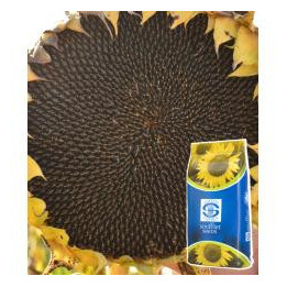 FLORMASTER IR / ФЛОРМАСТЕР ІР