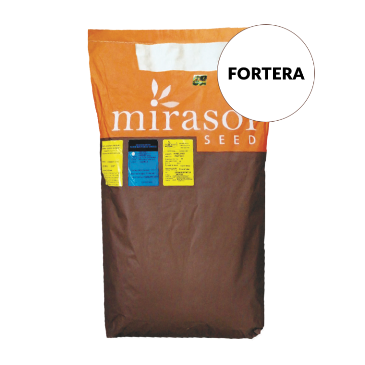 FORTERA / ФОРТЕРА