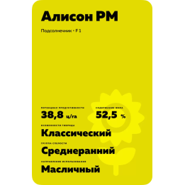 Алісон