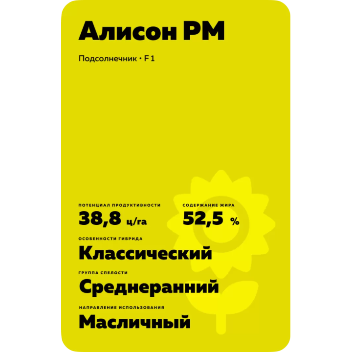 Алісон