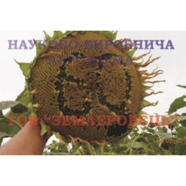 Донской 60 / Донський 60