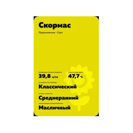ES MEMPHIS CL / ЕС МЕМФІС СЛ