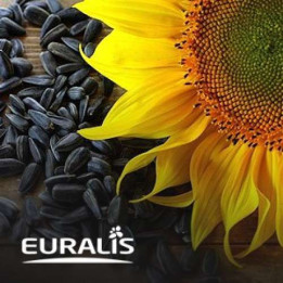 ES POLARIS CL / ЕС ПОЛЯРІС CЛ