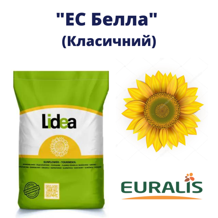ES Starbella / ЕС Старбелла