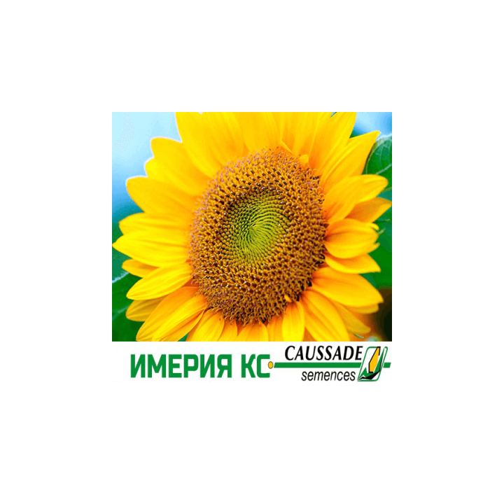 Imeria CS / Імерія КС