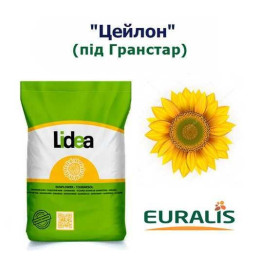 Iollin / Іоллін