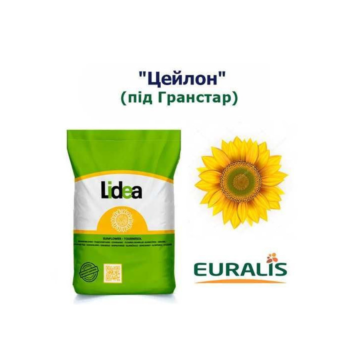 Iollin / Іоллін
