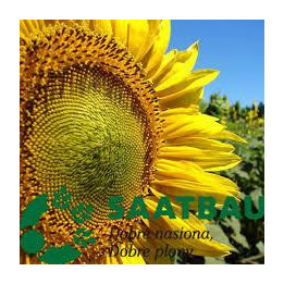 Irimi / Ірімі