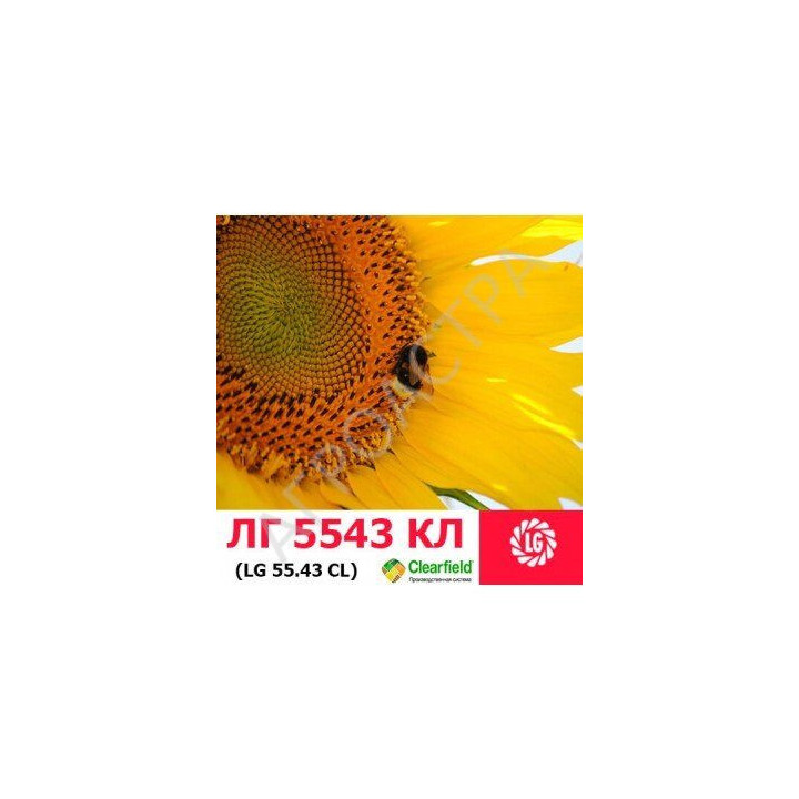 LG 5434М / ЛГ 5434М