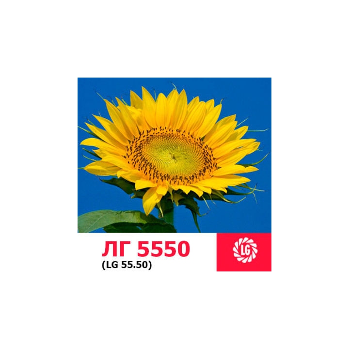 LG5550 / ЛГ5550