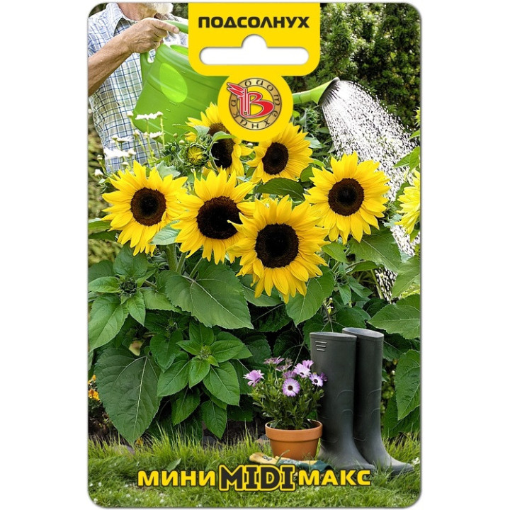 Максимус