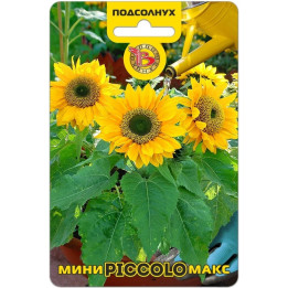Maxtor F1 / Макстор F1