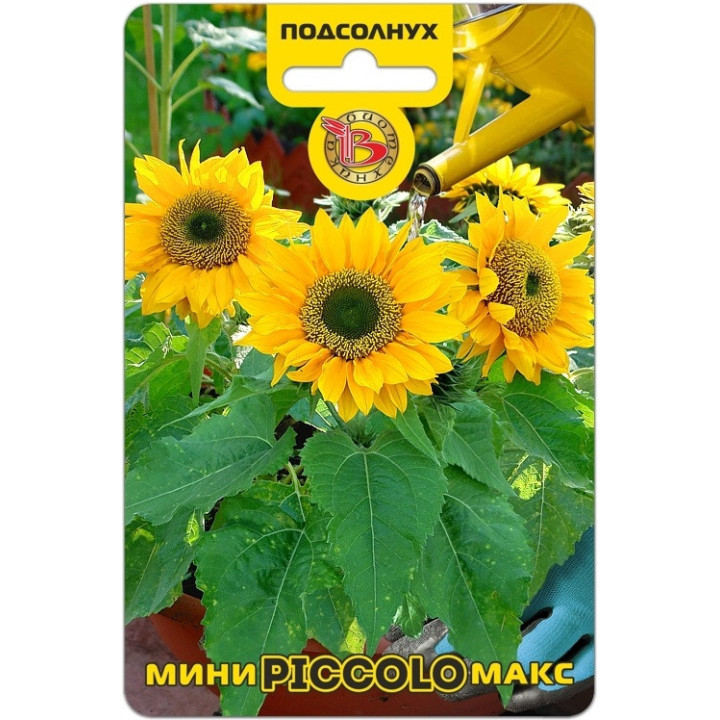Maxtor F1 / Макстор F1