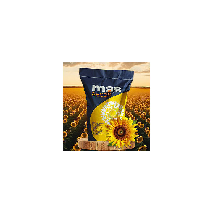 MAS 82A / МАС 82А
