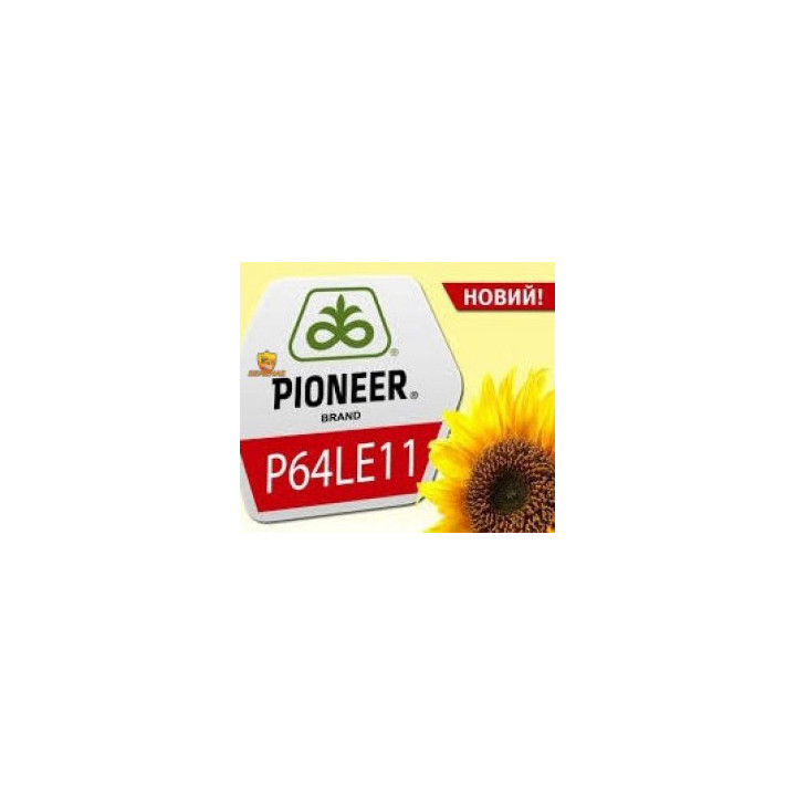 P64LE11 / П64ЛЕ11