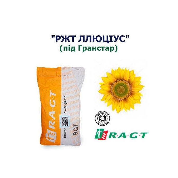 RGT AMILLTON / РЖТ АМІЛЛЬТОН