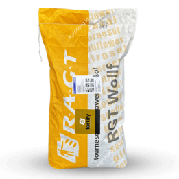 RGT CRISTOBALL / РЖТ КРІСТОБАЛЛ