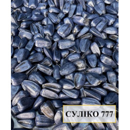 Sullik / Суллік
