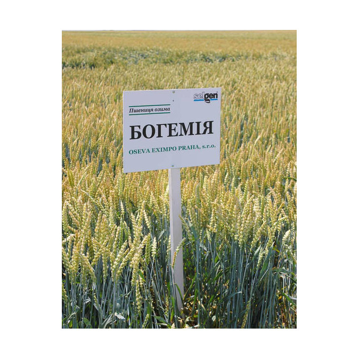 Bohemia / Богемія