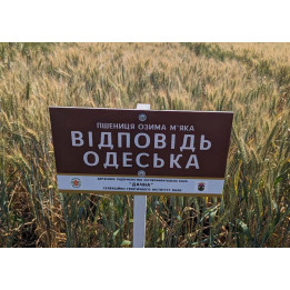 Відповідь одеська
