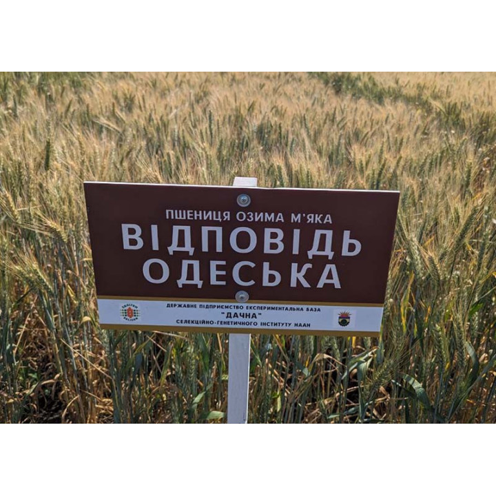 Відповідь одеська