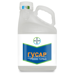 Гусар