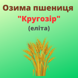 Кругозір
