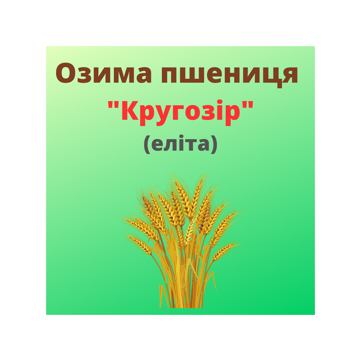 Кругозір