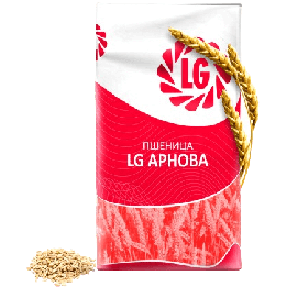 LG Arnova / ЛГ Арнова
