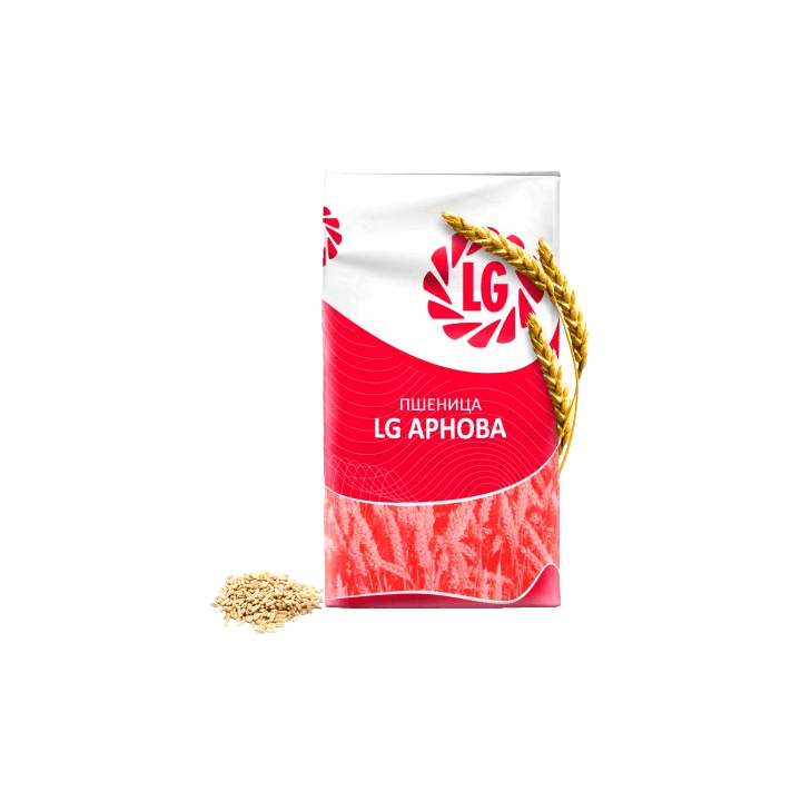 LG Arnova / ЛГ Арнова