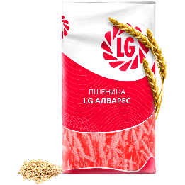 LG Gelik / ЛГ Гелік